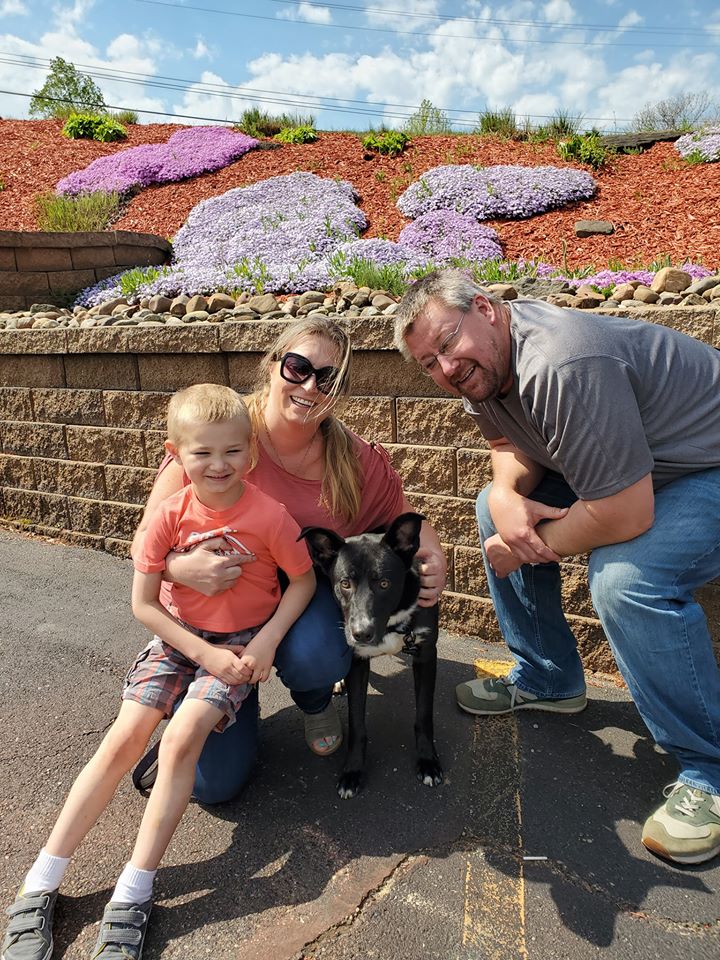 Sammy - The Road Home Animal Project