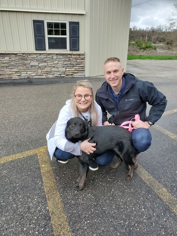 Scarlett - The Road Home Animal Project