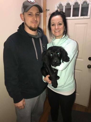 Shadow aka Bodhi - The Road Home Animal Project