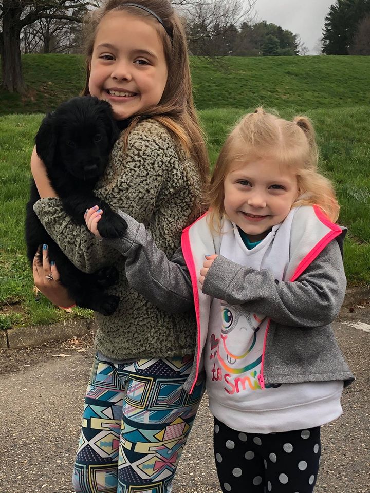 Shelby aka Maylee - The Road Home Animal Project