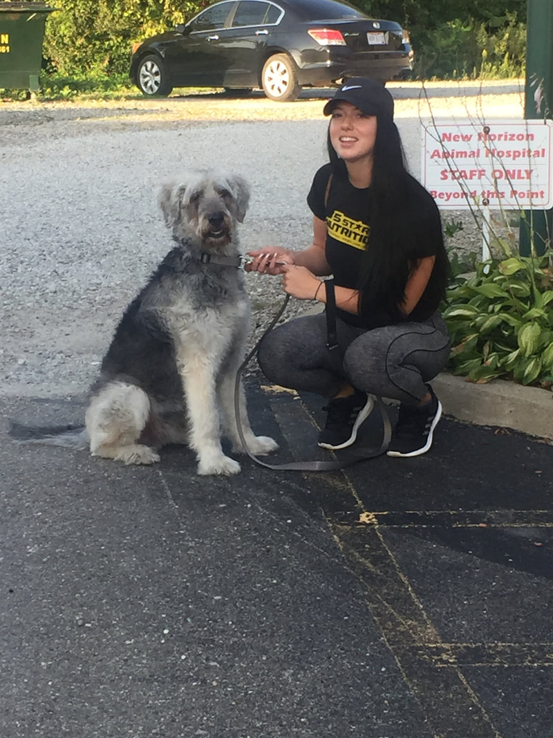 Smokey - The Road Home Animal Project