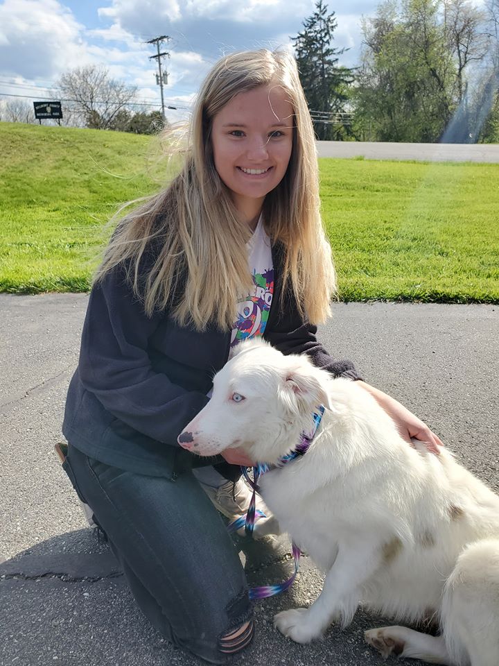 Snow - The Road Home Animal Project