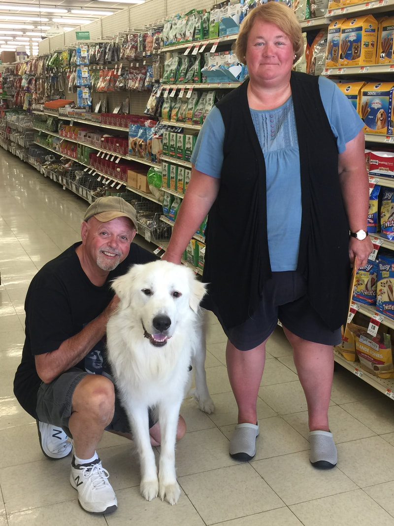 Sulley - The Road Home Animal Project