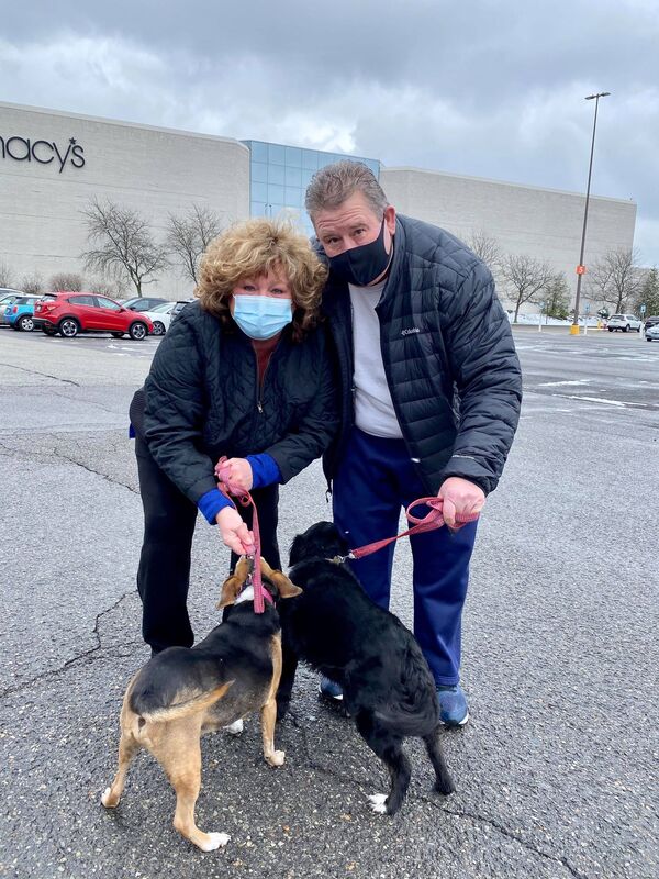 Tessa and Leo - The Road Home Animal Project