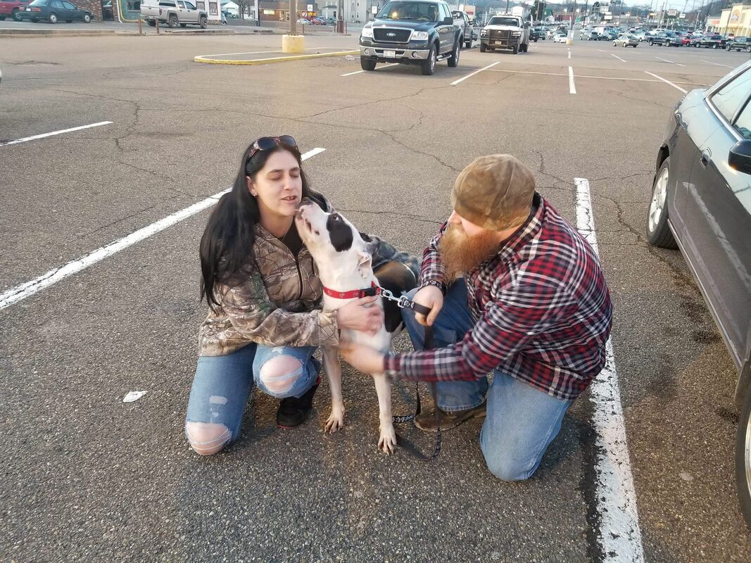 Thor - The Road Home Animal Project