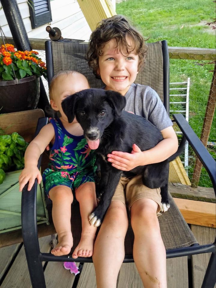 Tippy - The Road Home Animal Project