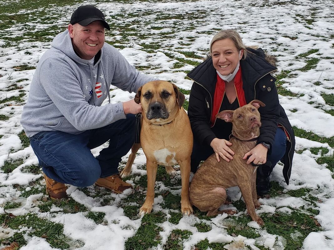 Titus - The Road Home Animal Project