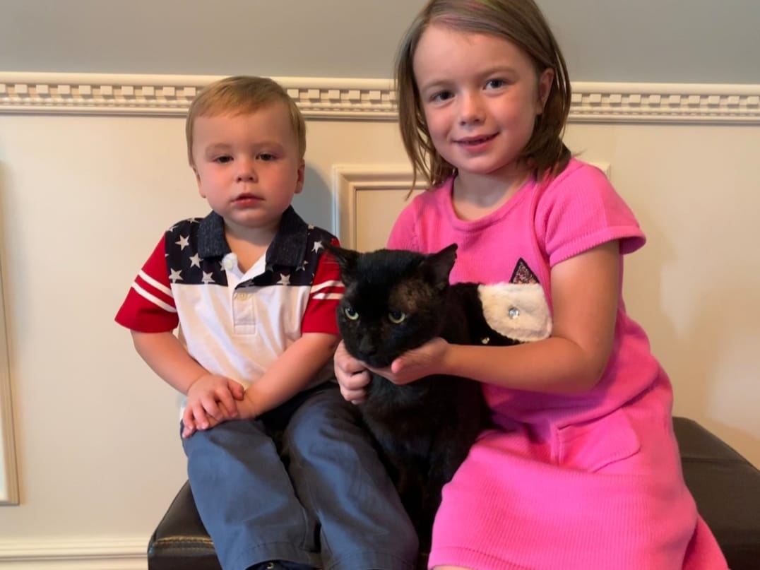 Tom - The Road Home Animal Project