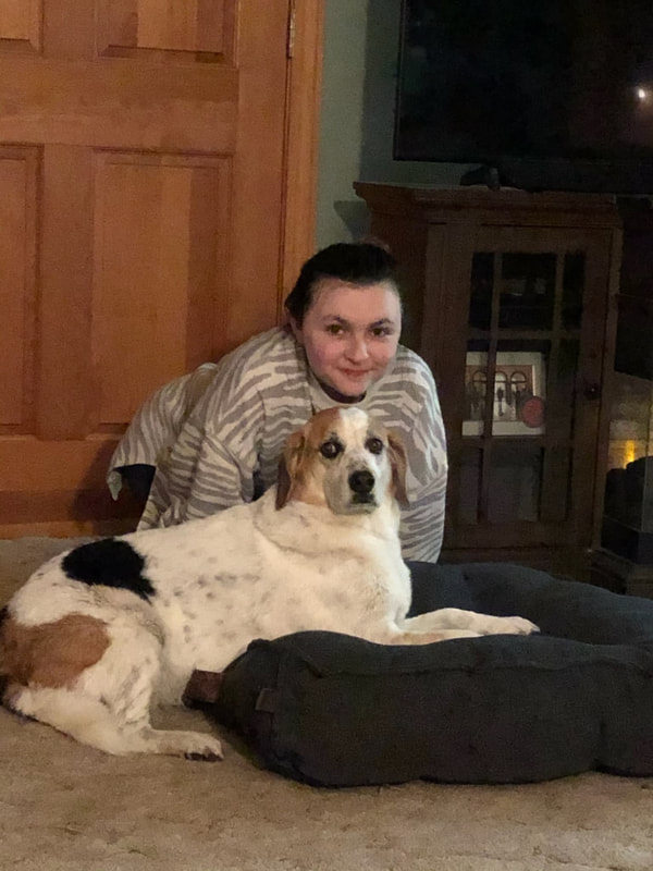 Tory - The Road Home Animal Project