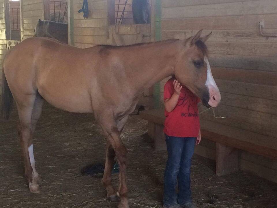 Trooper - The Road Home Animal Project