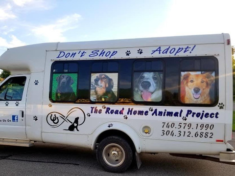 The Road Home Animal Project - Our Van