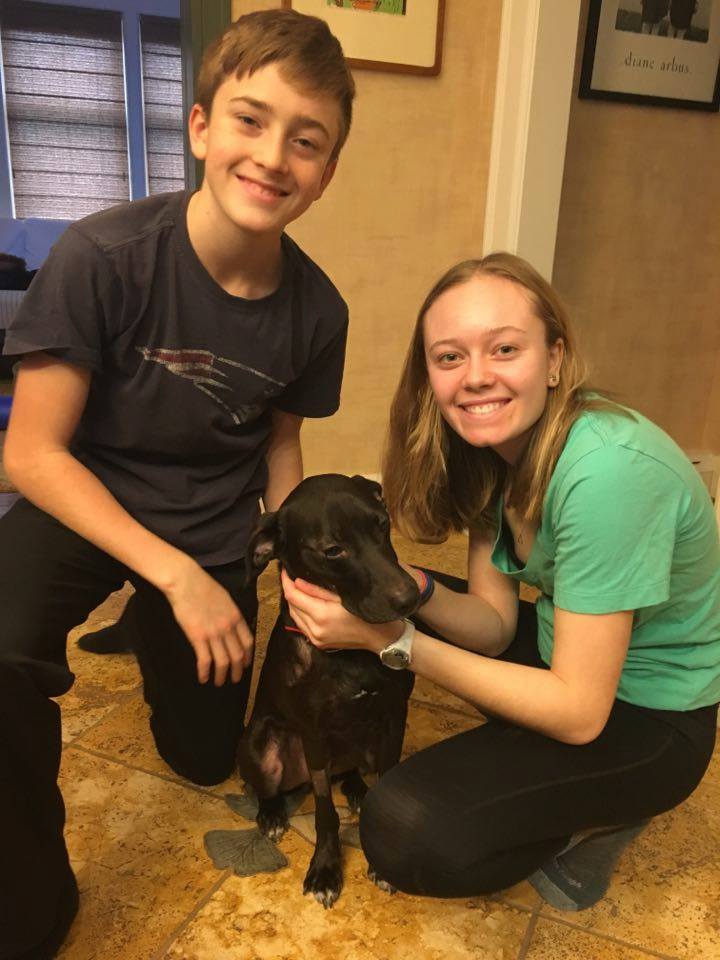 Whiskey - The Road Home Animal Project