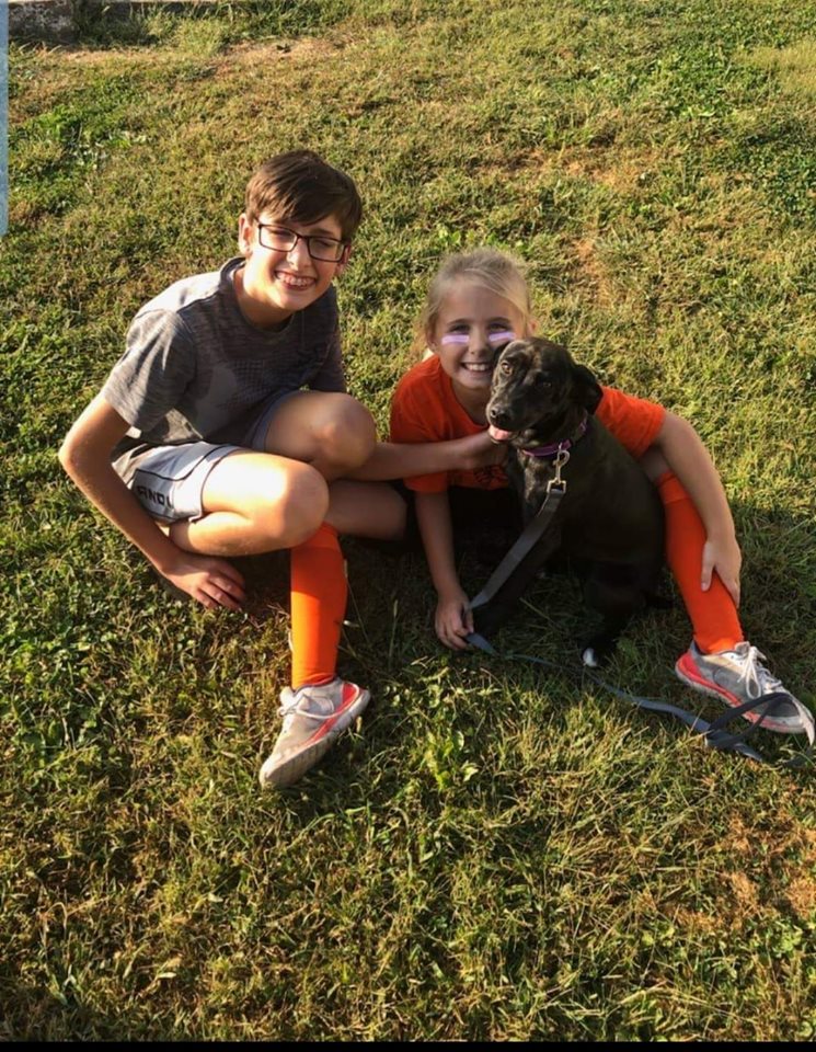 Willow - The Road Home Animal Project