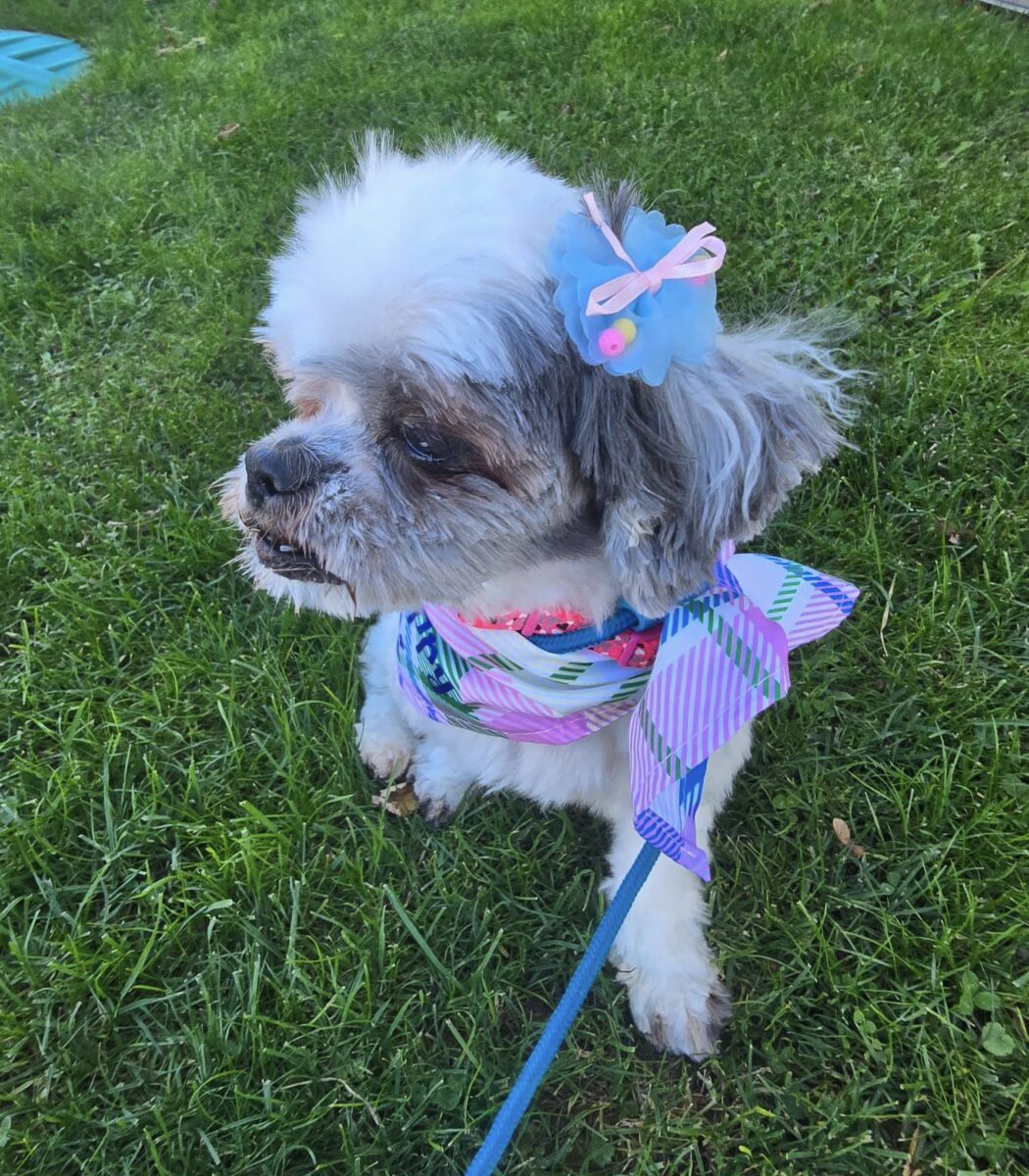 Baby G - The Road Home Animal Project