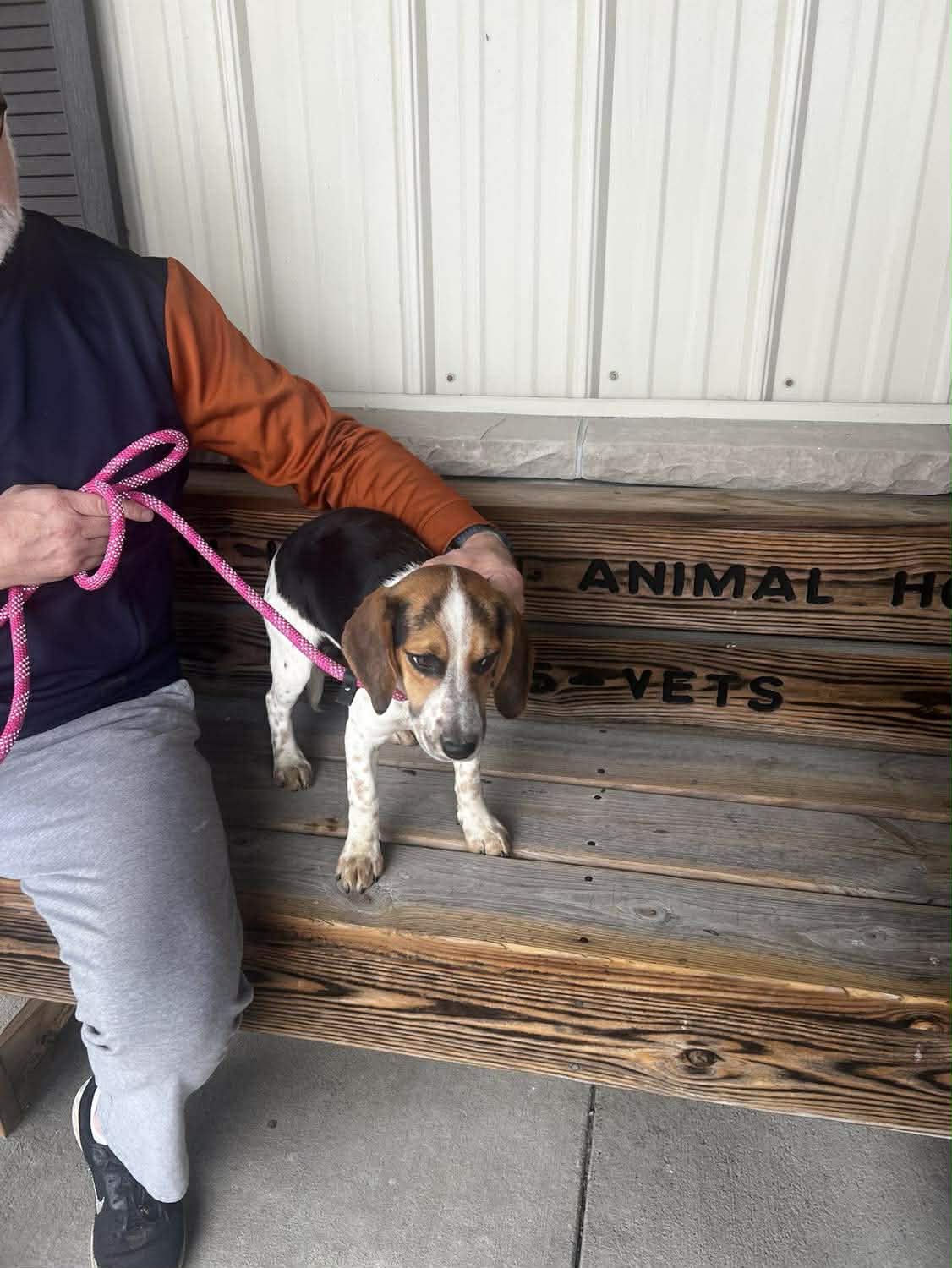 The Road Home Animal Project - Yuki (cell dog)